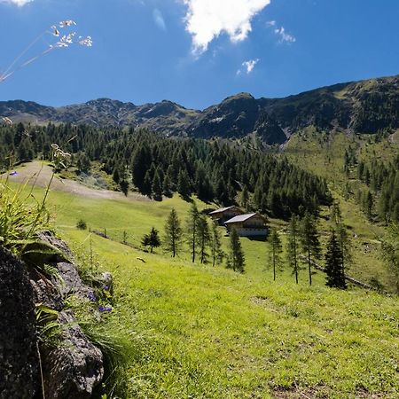 Feldererhof Apt Almenblick Santa Maddalena in Casies Εξωτερικό φωτογραφία