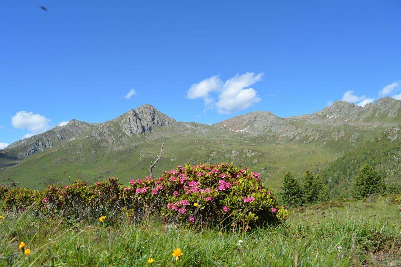 Feldererhof Apt Almenblick Santa Maddalena in Casies Εξωτερικό φωτογραφία