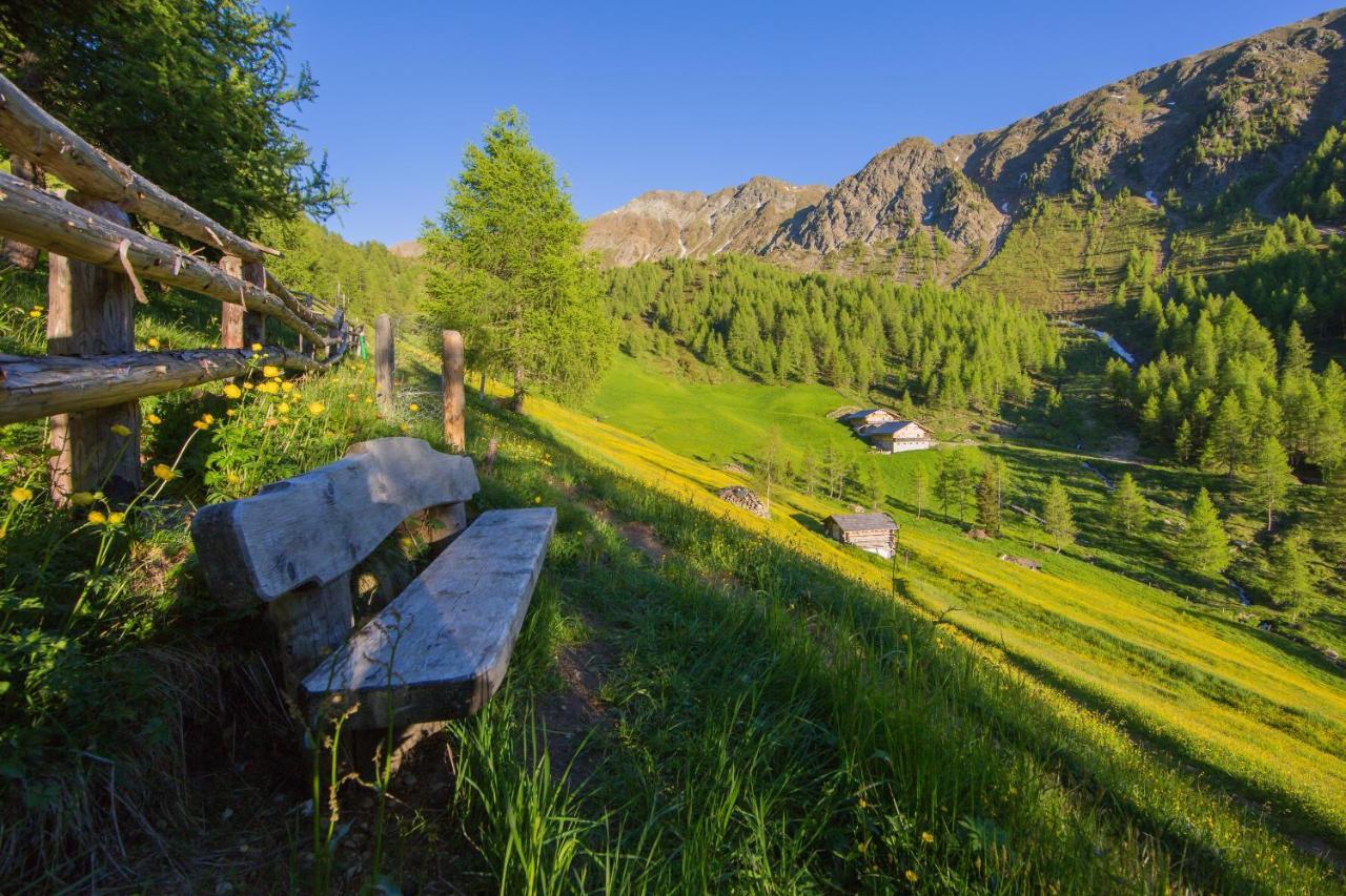 Feldererhof Apt Almenblick Santa Maddalena in Casies Εξωτερικό φωτογραφία